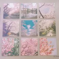 弘大Florte Flower Caféの写真・動画_image_118067