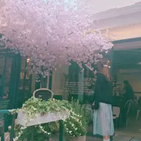 弘大Florte Flower Caféの写真・動画_image_118069