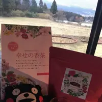 南阿蘇ティーハウス本店の写真・動画_image_118146