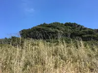 高松のビーチの写真・動画_image_119406