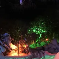 氷点下の森の写真・動画_image_119736