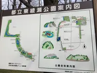 都立東綾瀬公園の写真・動画_image_120123