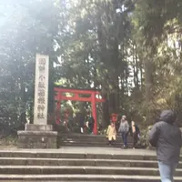 箱根神社の写真・動画_image_120751