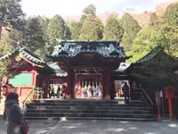 箱根神社の写真・動画_image_120753