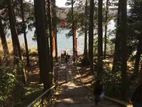 箱根神社の写真・動画_image_120755
