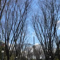 シドニー広場の写真・動画_image_121137