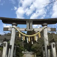 大國魂神社の写真・動画_image_122439