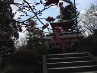 常福寺 東北三十六不動霊場三十六番札所の写真・動画_image_122458