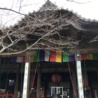 紀三井寺の写真・動画_image_122503