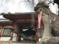 氷室神社の写真・動画_image_124186