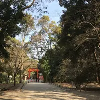 下鴨神社（賀茂御祖神社）の写真・動画_image_124920