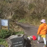 八丈富士の写真・動画_image_125115