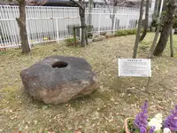 芦屋市立美術博物館の写真・動画_image_125245