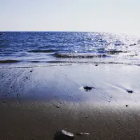 大洗海岸の写真・動画_image_126329