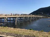 渡月橋の写真・動画_image_126761