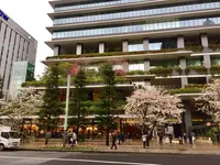 東京スクエアガーデンの写真・動画_image_126841