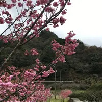 耶馬渓ダムスポーツ公園の写真・動画_image_126961