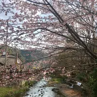 京王高尾山温泉　極楽湯の写真・動画_image_127281