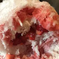 ティーハウス　マユール宮崎台店の写真・動画_image_127555