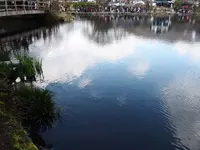 金鱗湖の写真・動画_image_128947