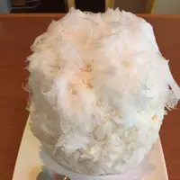 ティーハウス　マユール宮崎台店の写真・動画_image_129406