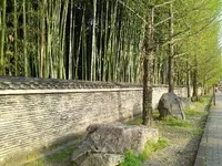 今宮神社の写真・動画_image_129660