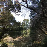 成田山公園の写真・動画_image_130017
