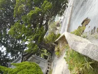 吉田松陰の銅像の写真・動画_image_130390