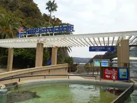 下田海中水族館の写真・動画_image_130410