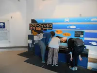 下田海中水族館の写真・動画_image_130418