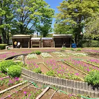 都立浮間公園の写真・動画_image_130430