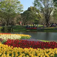 昭和記念公園 渓流広場の写真・動画_image_130453