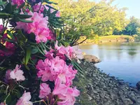 国営昭和記念公園日本庭園の写真・動画_image_130458