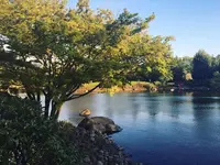 国営昭和記念公園日本庭園の写真・動画_image_130459