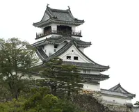 高知城の写真・動画_image_130801
