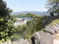 上野城の写真・動画_image_132502