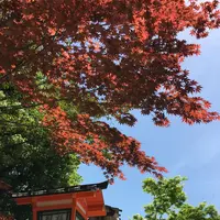 八坂神社の写真・動画_image_132569
