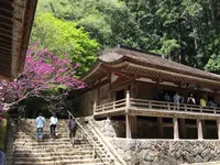 室生寺の写真・動画_image_132652