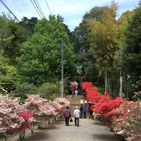 佐白山観世音寺の写真・動画_image_133200
