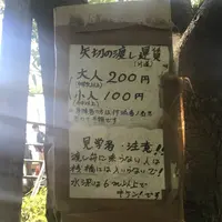 矢切の渡しの写真・動画_image_133295