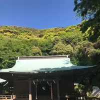 洲崎神社の写真・動画_image_133503