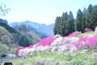 月川温泉の写真・動画_image_134096