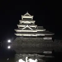 松本城の写真・動画_image_134773