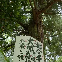 浄瑠璃寺の写真・動画_image_135511