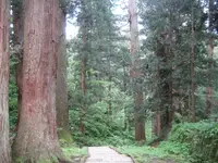 出羽三山神社の写真・動画_image_135590