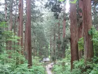 出羽三山神社の写真・動画_image_135591