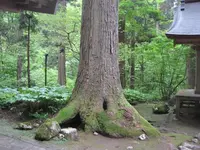 出羽三山神社の写真・動画_image_135592