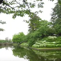 上杉神社の写真・動画_image_135653