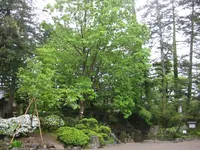 上杉神社の写真・動画_image_135658