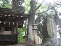 上杉神社の写真・動画_image_135677